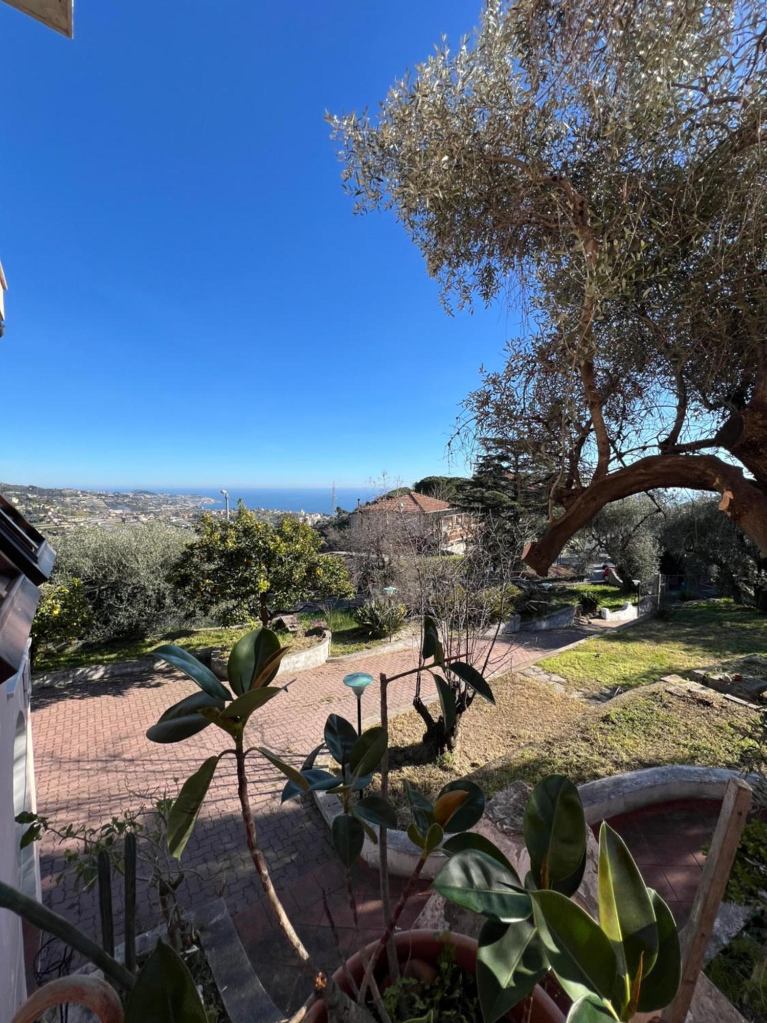 Villa In Collina Vista Mare Sanremo Eksteriør billede