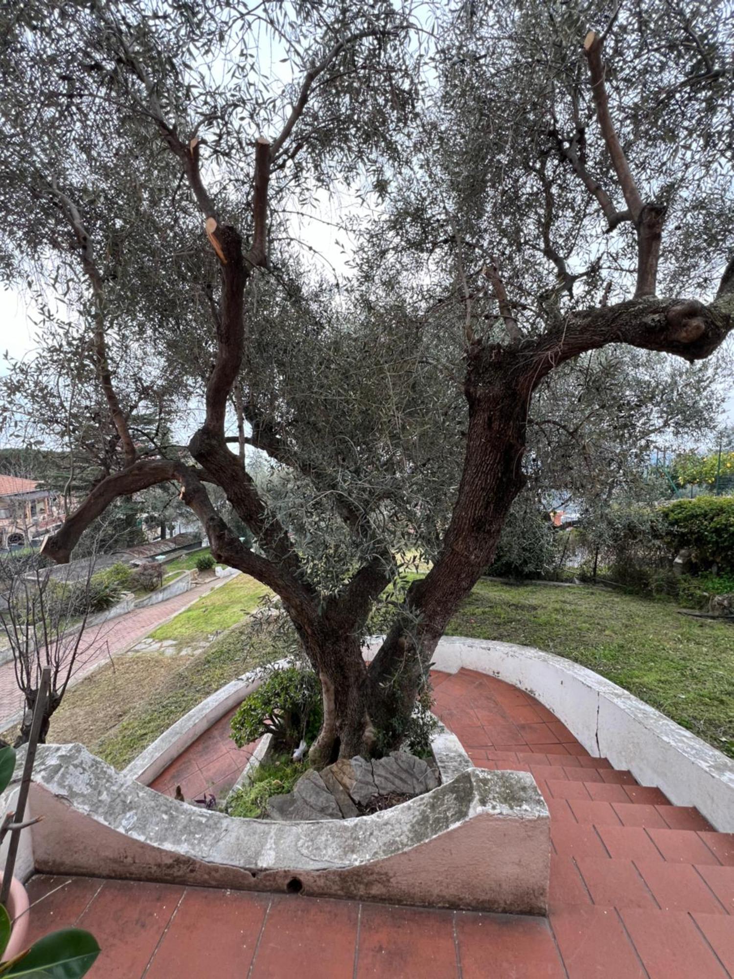 Villa In Collina Vista Mare Sanremo Eksteriør billede